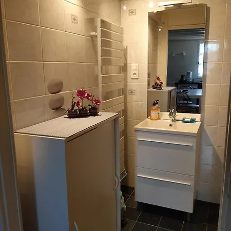 Climatisé L'orée Des Landes Proche Center Parcs *