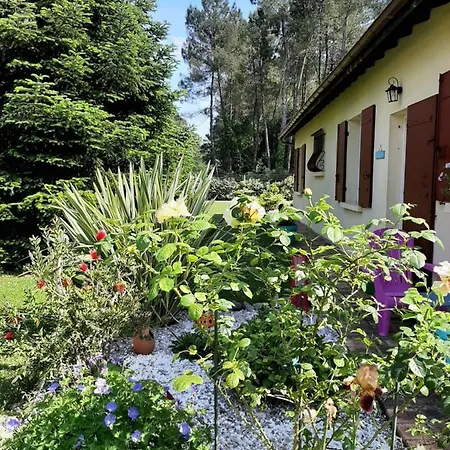 Climatisé L'orée Des Landes Proche Center Parcs Pinderes