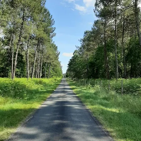 Сasa de vacaciones Climatisé L'orée Des Landes Proche Center Parcs Pinderes