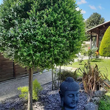 Climatisé L'orée Des Landes Proche Center Parcs Сasa de vacaciones Pinderes