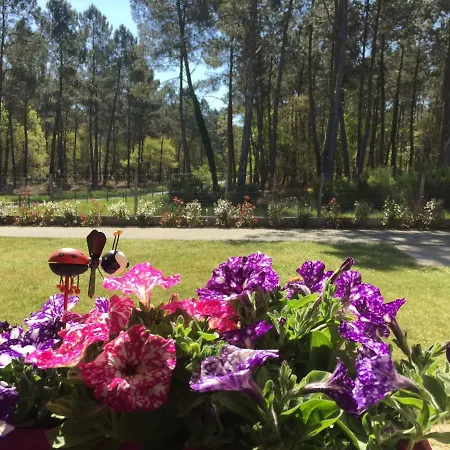 Climatisé L'orée Des Landes Proche Center Parcs Casa vacanze Pinderes