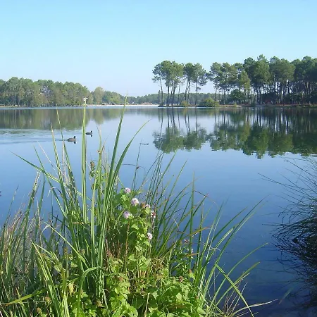 Climatisé L'orée Des Landes Proche Center Parcs
