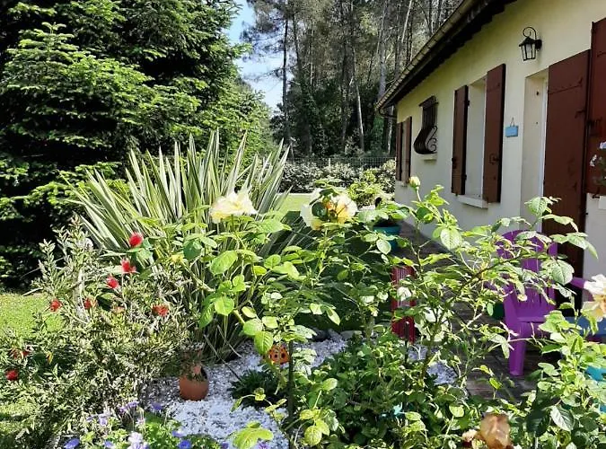 Climatise L'oree Des Landes Proche Center Parcs Pindères