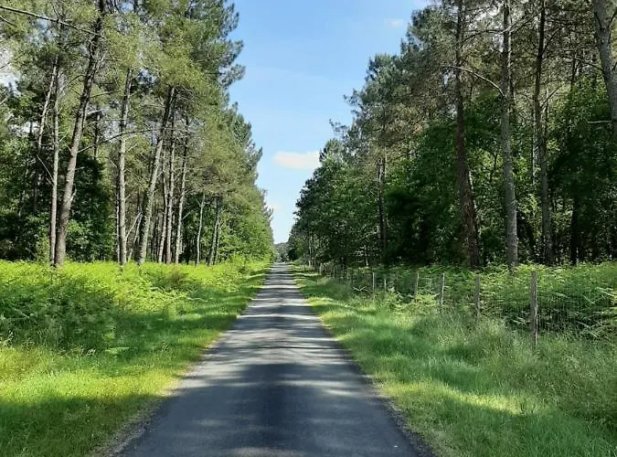 別荘 Climatise L'oree Des Landes Proche Center Parcs Pindères