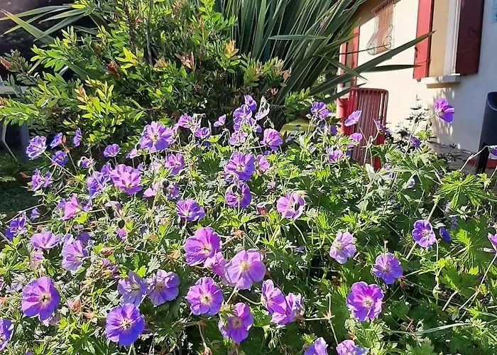 別荘 Climatise L'oree Des Landes Proche Center Parcs