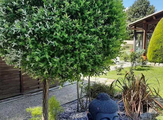 Climatise L'oree Des Landes Proche Center Parcs 別荘 Pindères