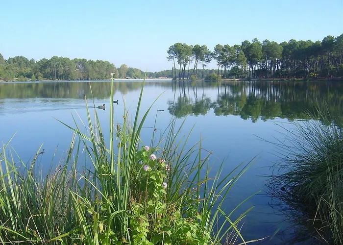 Climatise L'oree Des Landes Proche Center Parcs